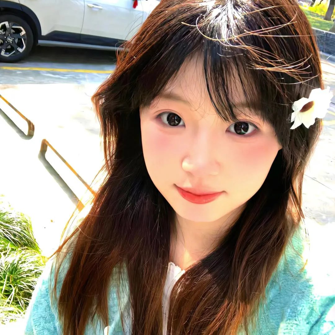 侠岚