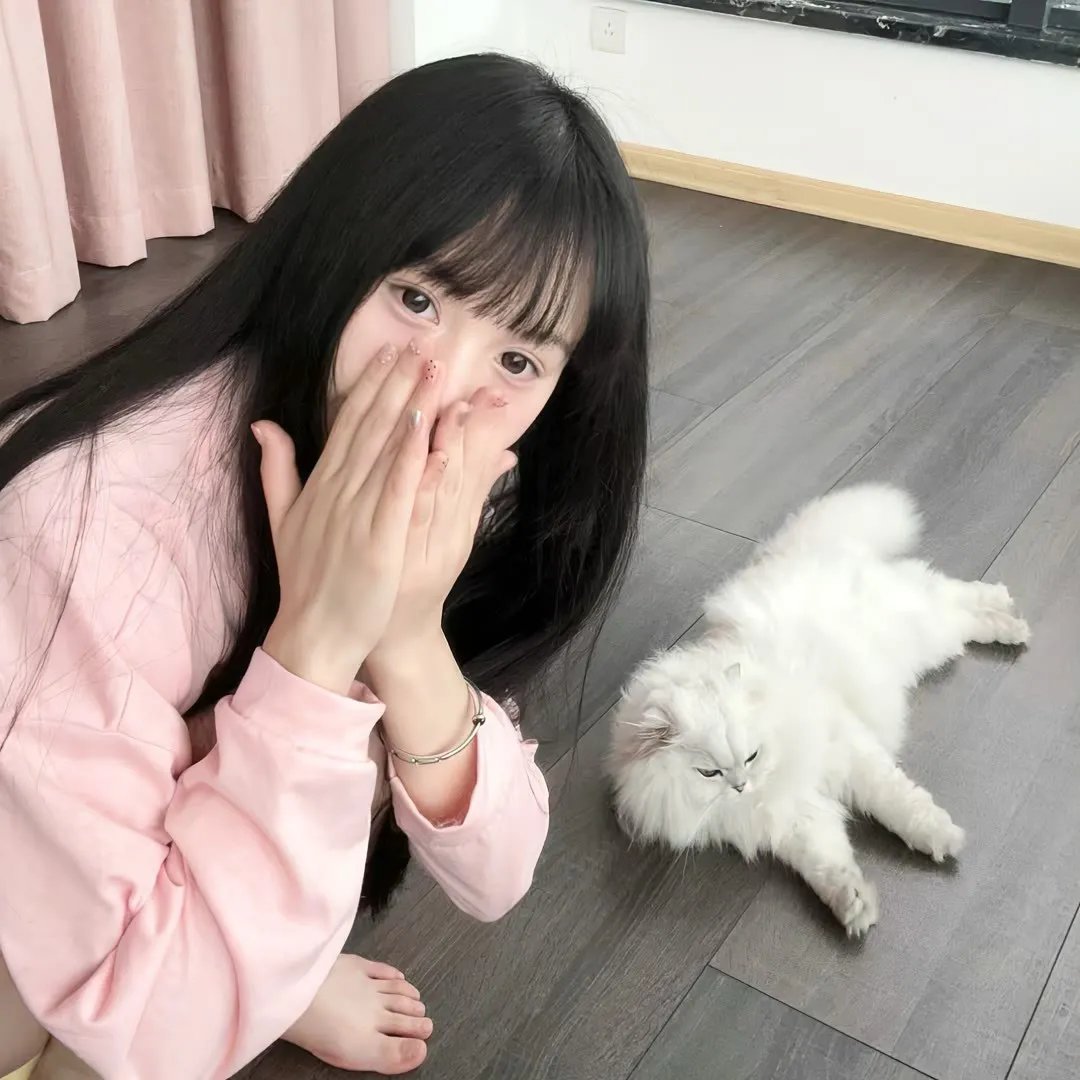 她和她的美丽岛